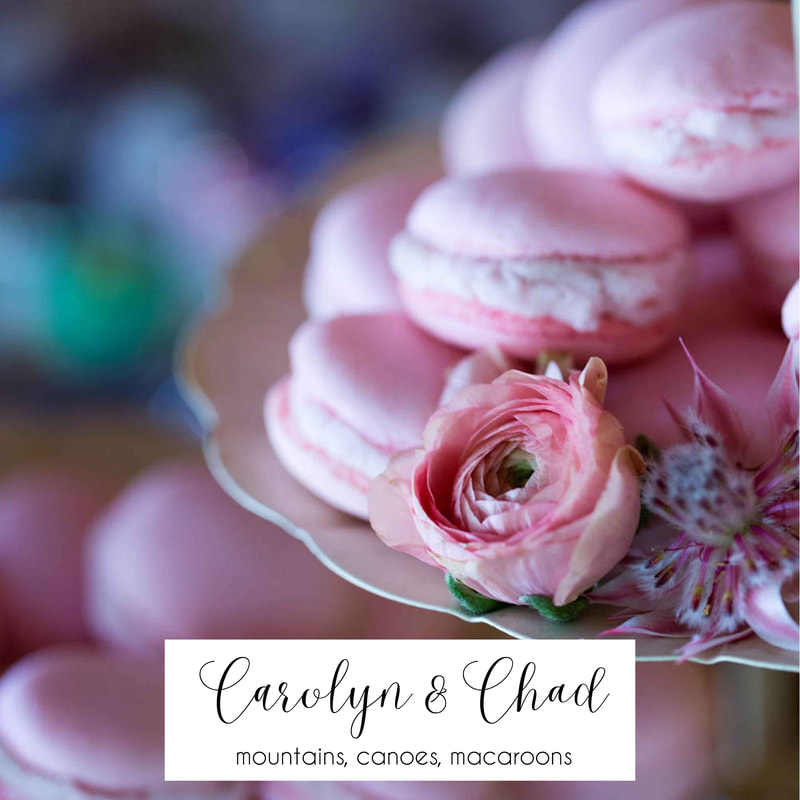 pink rose french macarons, reception details, dessert display, piney river ranch wedding planner, mountain wedding inspiration, vail wedding planner, sweetly paired weddings