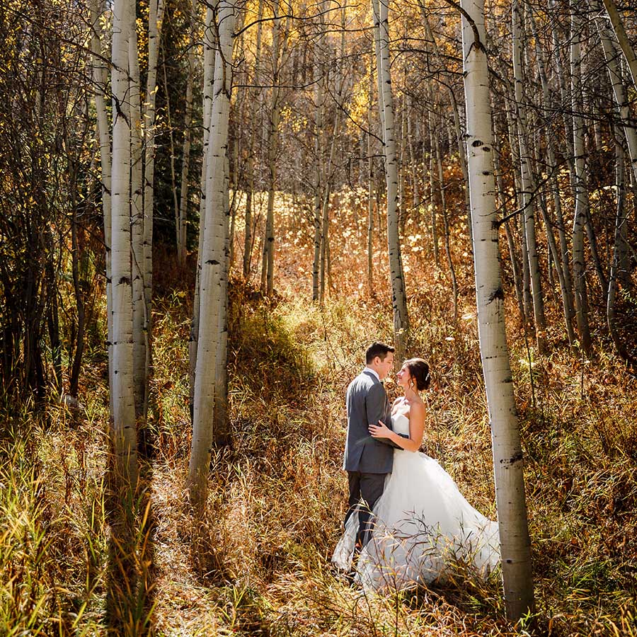 bride and groom portrait in aspen leaves, autumn mountain wedding inspiration, vail wedding planning, colorado wedding planner, sweetly paired weddings