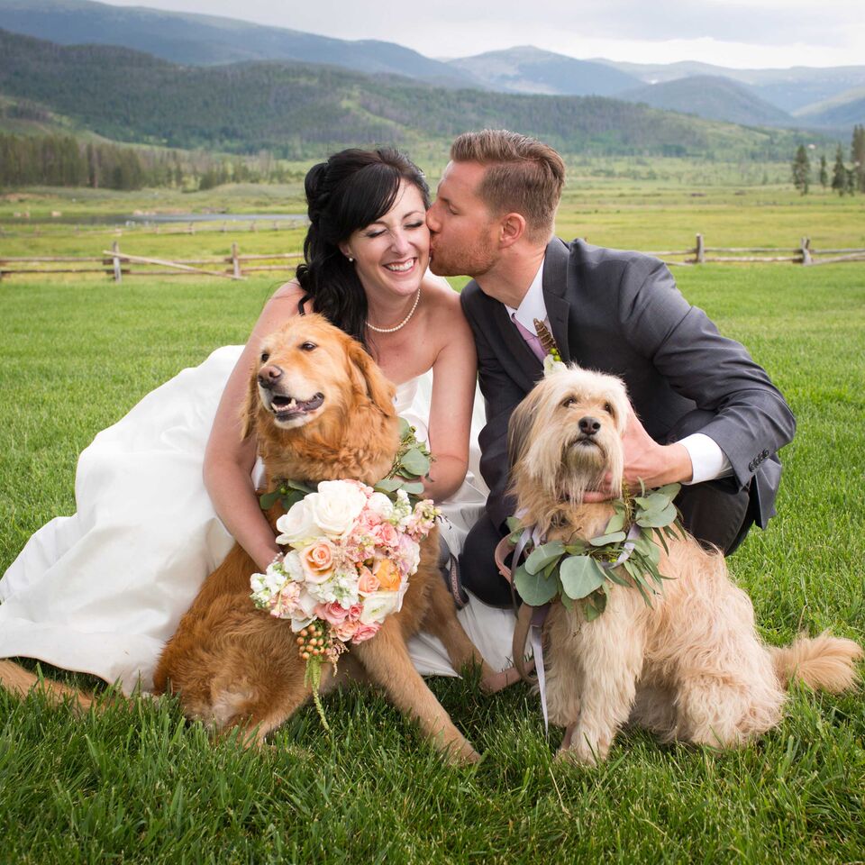 Colorado wedding planner, pet wedding planner, doggie wedding, vail wedding, destination weddings, mountain wedding planner
