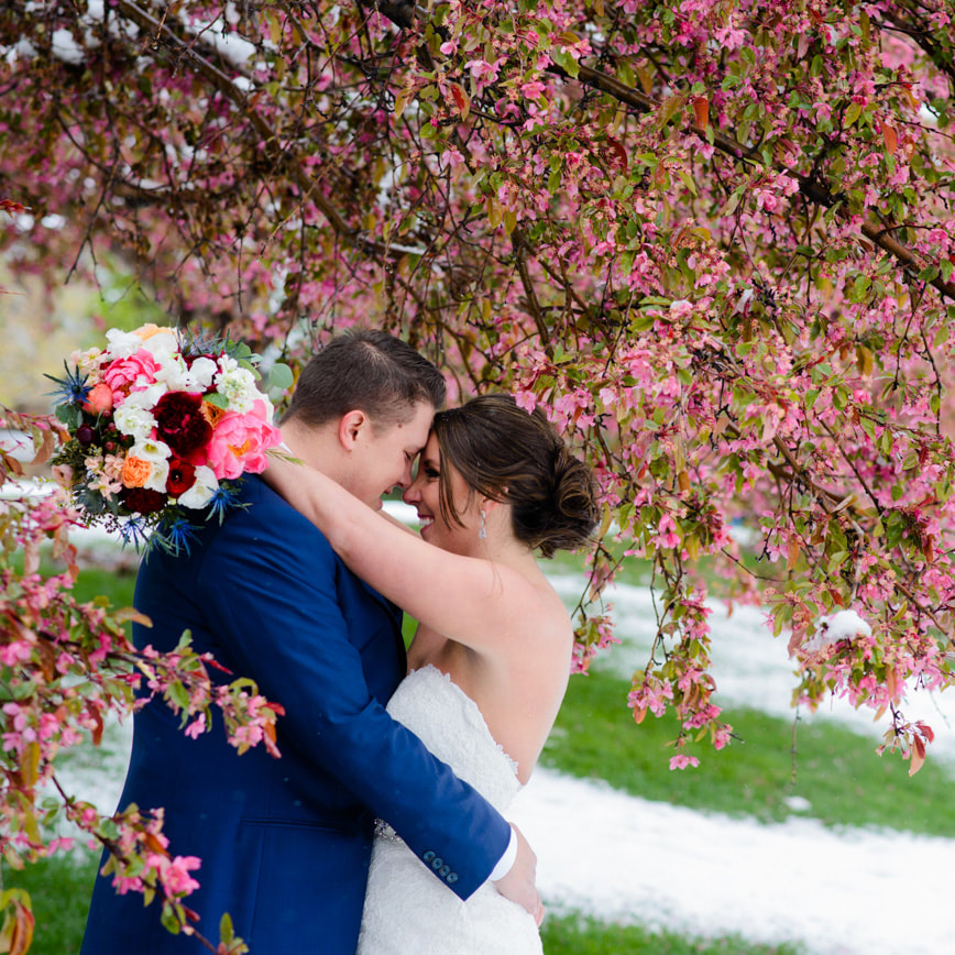Bride and groom portrait, cherry blossoms in the snow, baldoria on the water wedding venue, denver wedding planner, colorado wedding planner, real weddings, sweetly paired, winter wedding inspiration, destination wedding planner, spring wedding
