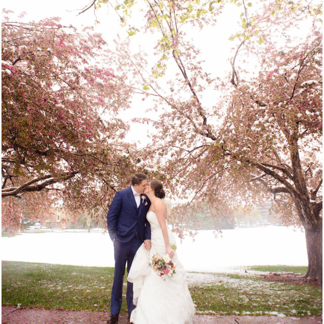 Bride and groom portrait, cherry blossoms in the snow, baldoria on the water wedding venue, denver wedding planner, colorado wedding planner, real weddings, sweetly paired, winter wedding inspiration, destination wedding planner